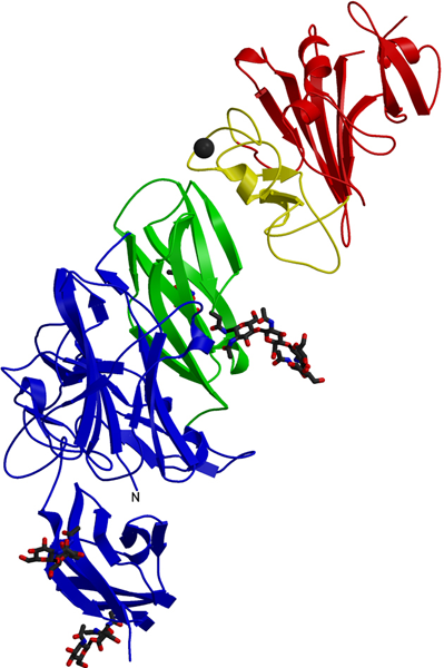 Cancer Biology Research